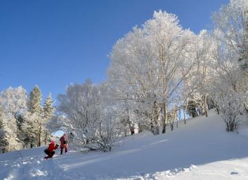 冬天的呼喚—長白山踏雪尋歡雙飛4日游（直飛）