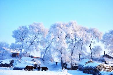 哈爾濱、亞布力、雪鄉(xiāng)、長(zhǎng)白山、霧凇島雙飛八日游